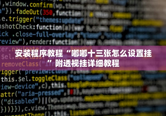 安装程序教程“嘟嘟十三张怎么设置挂”附透视挂详细教程