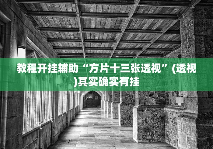 教程开挂辅助“方片十三张透视”(透视)其实确实有挂