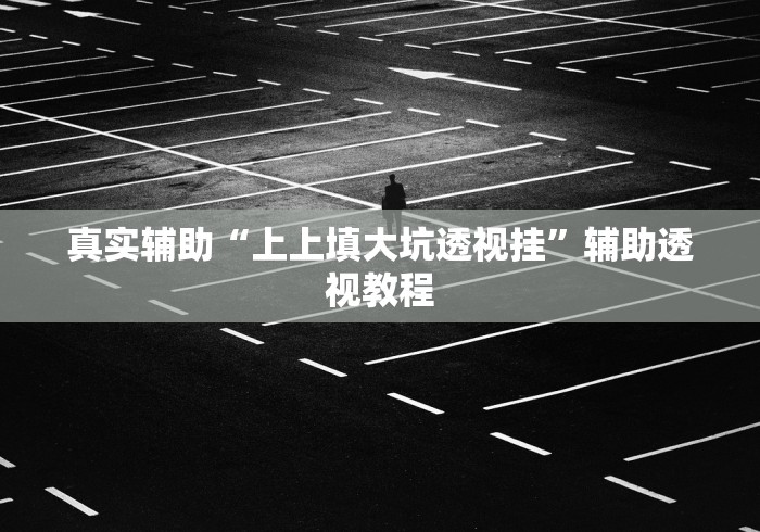 真实辅助“上上填大坑透视挂”辅助透视教程