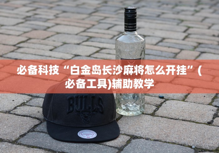 必备科技“白金岛长沙麻将怎么开挂”(必备工具)辅助教学