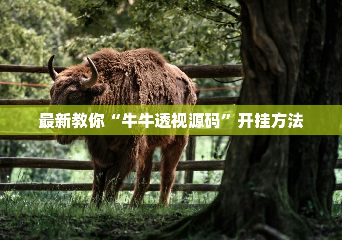 最新教你“牛牛透视源码”开挂方法