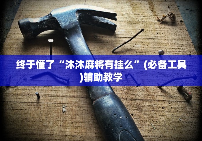 终于懂了“沐沐麻将有挂么”(必备工具)辅助教学