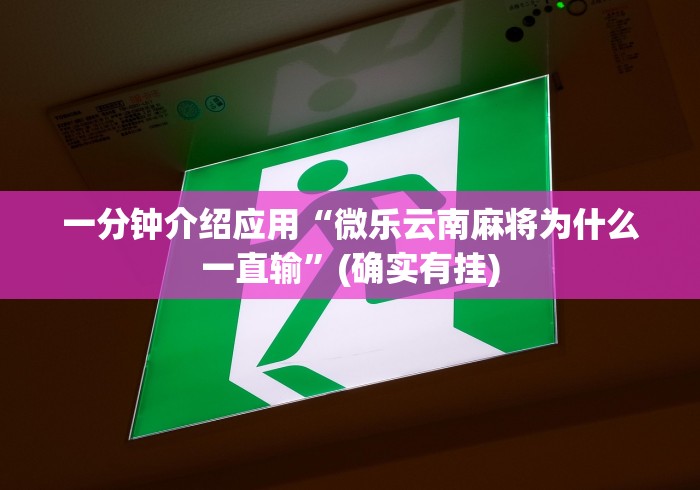 一分钟介绍应用“微乐云南麻将为什么一直输”(确实有挂)