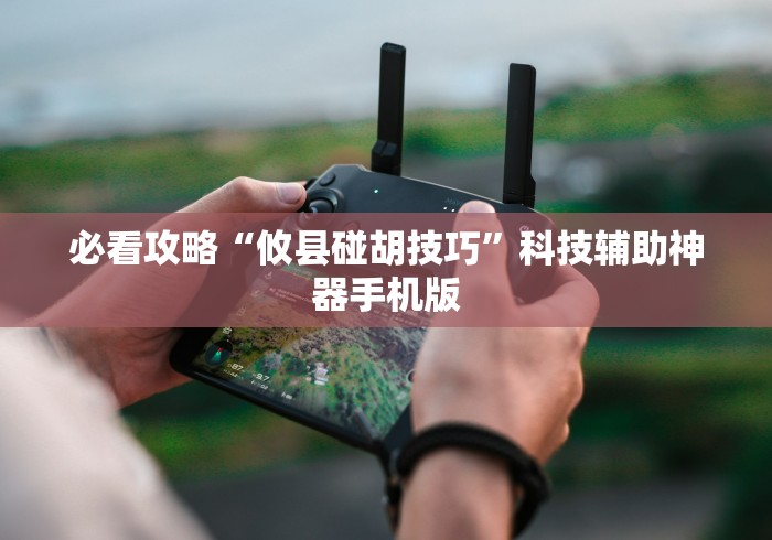 必看攻略“攸县碰胡技巧”科技辅助神器手机版