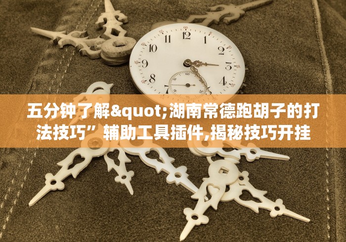 五分钟了解"湖南常德跑胡子的打法技巧”辅助工具插件,揭秘技巧开挂