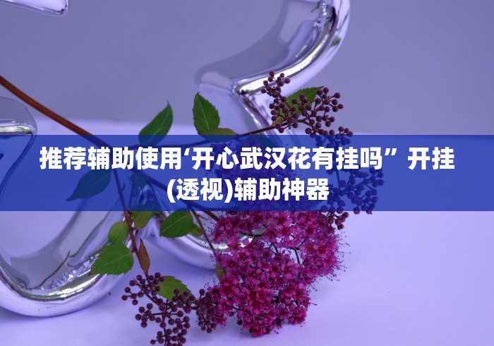 推荐辅助使用‘开心武汉花有挂吗”开挂(透视)辅助神器