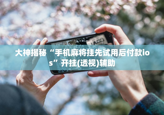 大神揭秘“手机麻将挂先试用后付款ios”开挂(透视)辅助