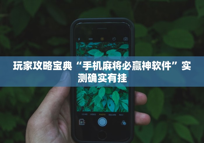 玩家攻略宝典“手机麻将必赢神软件”实测确实有挂