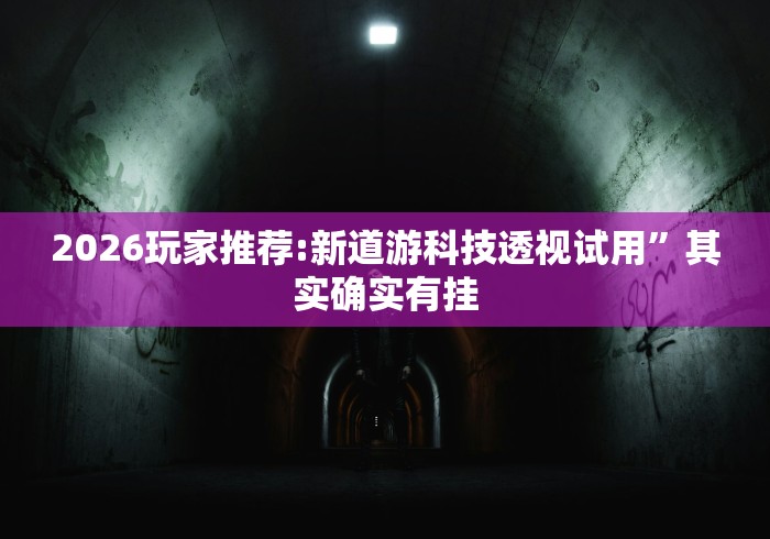 2026玩家推荐:新道游科技透视试用”其实确实有挂