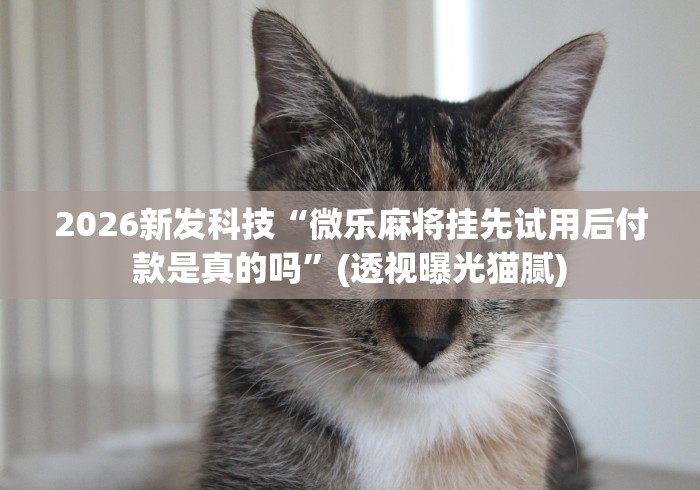 2026新发科技“微乐麻将挂先试用后付款是真的吗”(透视曝光猫腻)