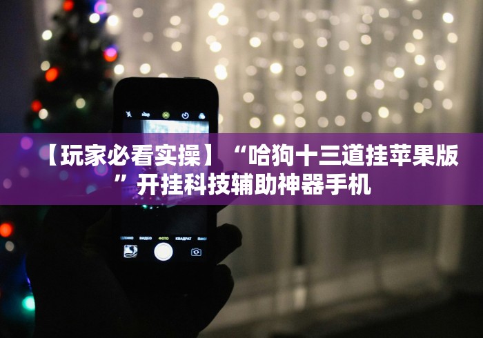 【玩家必看实操】“哈狗十三道挂苹果版”开挂科技辅助神器手机