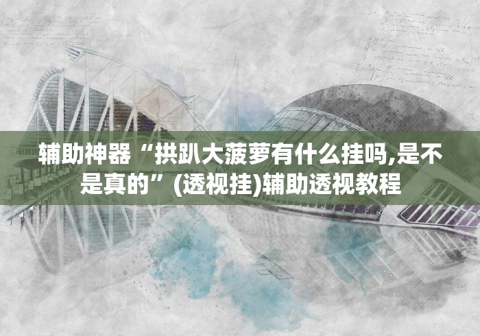 辅助神器“拱趴大菠萝有什么挂吗,是不是真的	”(透视挂)辅助透视教程
