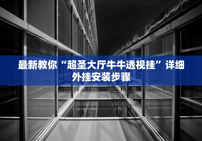 最新教你“超圣大厅牛牛透视挂”详细外挂安装步骤