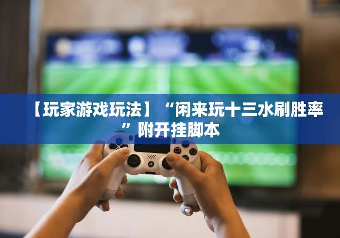 【玩家游戏玩法】“闲来玩十三水刷胜率	”附开挂脚本