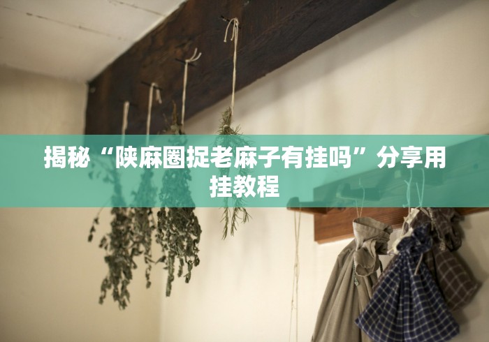揭秘“陕麻圈捉老麻子有挂吗”分享用挂教程