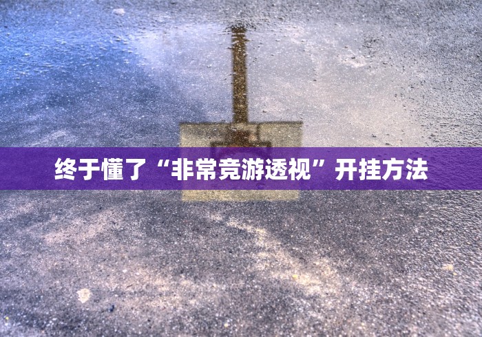 终于懂了“非常竞游透视”开挂方法