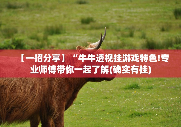 【一招分享】“牛牛透视挂游戏特色!专业师傅带你一起了解(确实有挂)