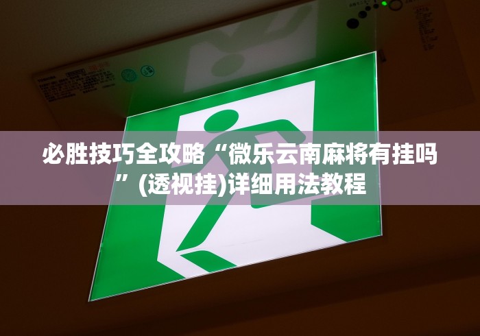 必胜技巧全攻略“微乐云南麻将有挂吗	”(透视挂)详细用法教程