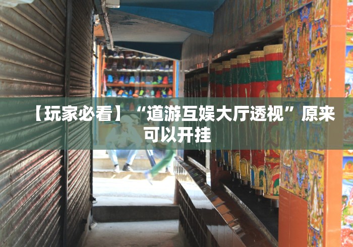 【玩家必看】“道游互娱大厅透视”原来可以开挂