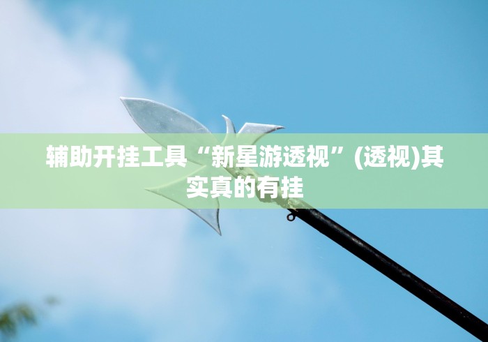 辅助开挂工具“新星游透视”(透视)其实真的有挂