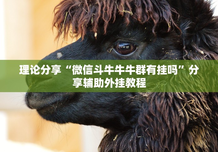 理论分享“微信斗牛牛牛群有挂吗”分享辅助外挂教程