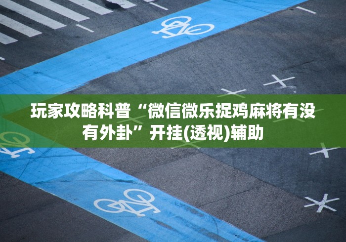 玩家攻略科普“微信微乐捉鸡麻将有没有外卦”开挂(透视)辅助
