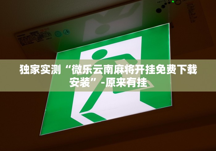 独家实测“微乐云南麻将开挂免费下载安装”-原来有挂