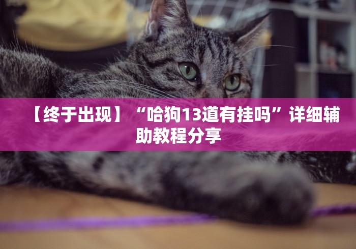 【终于出现】“哈狗13道有挂吗	”详细辅助教程分享