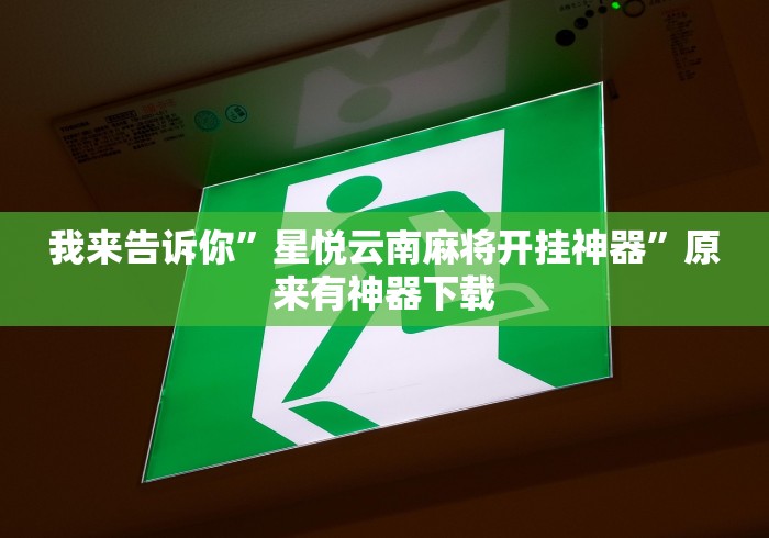 我来告诉你”星悦云南麻将开挂神器	”原来有神器下载
