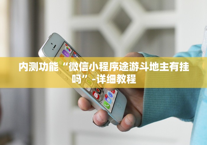 内测功能“微信小程序途游斗地主有挂吗	”-详细教程