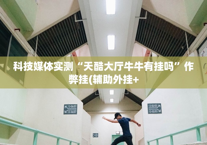 科技媒体实测“天酷大厅牛牛有挂吗”作弊挂(辅助外挂+