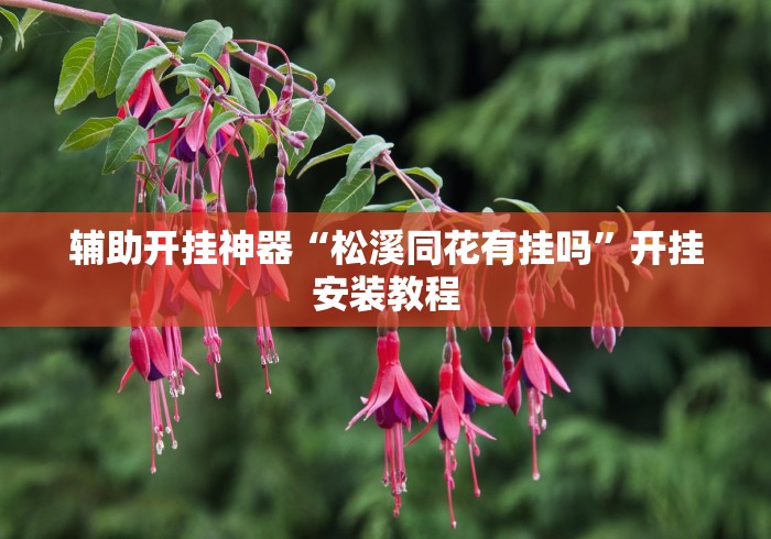 辅助开挂神器“松溪同花有挂吗”开挂安装教程