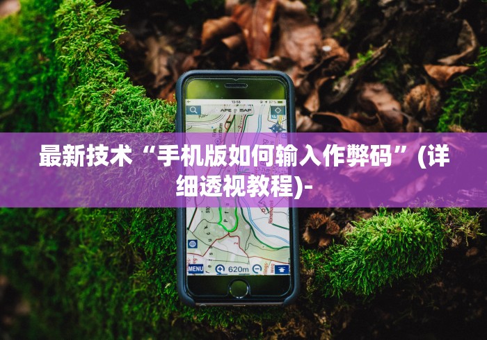 最新技术“手机版如何输入作弊码”(详细透视教程)-