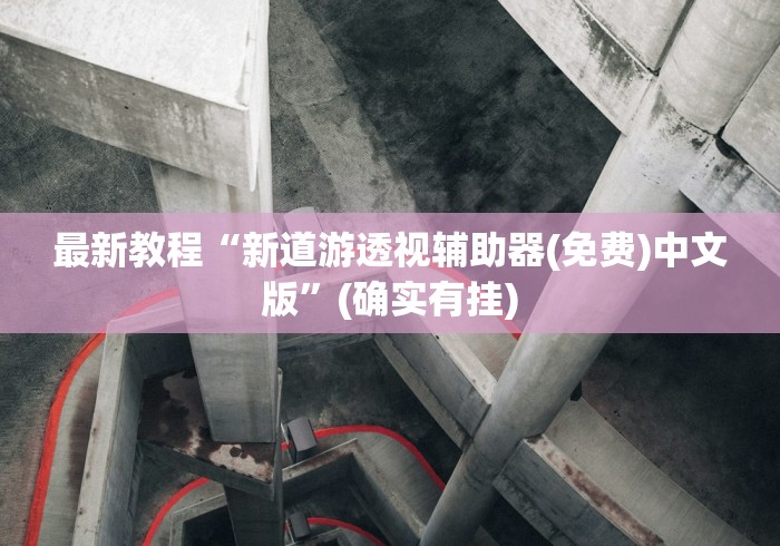 最新教程“新道游透视辅助器(免费)中文版”(确实有挂)