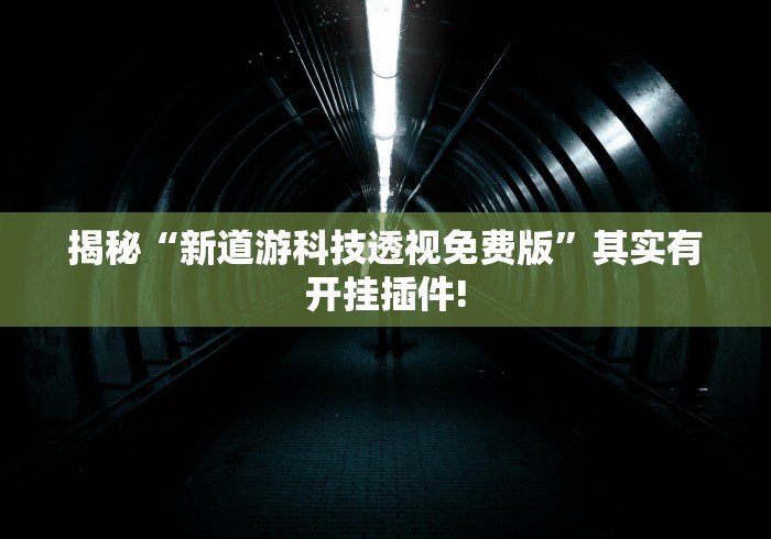 揭秘“新道游科技透视免费版”其实有开挂插件!