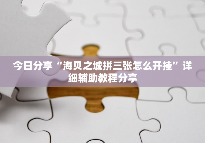 今日分享“海贝之城拼三张怎么开挂”详细辅助教程分享