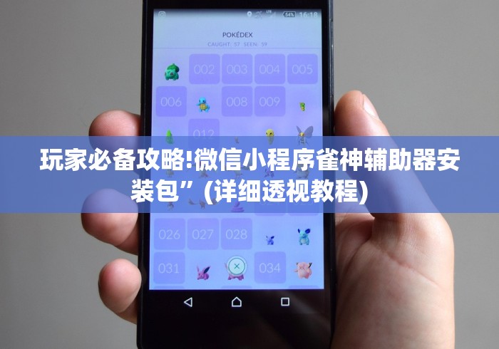 玩家必备攻略!微信小程序雀神辅助器安装包”(详细透视教程)