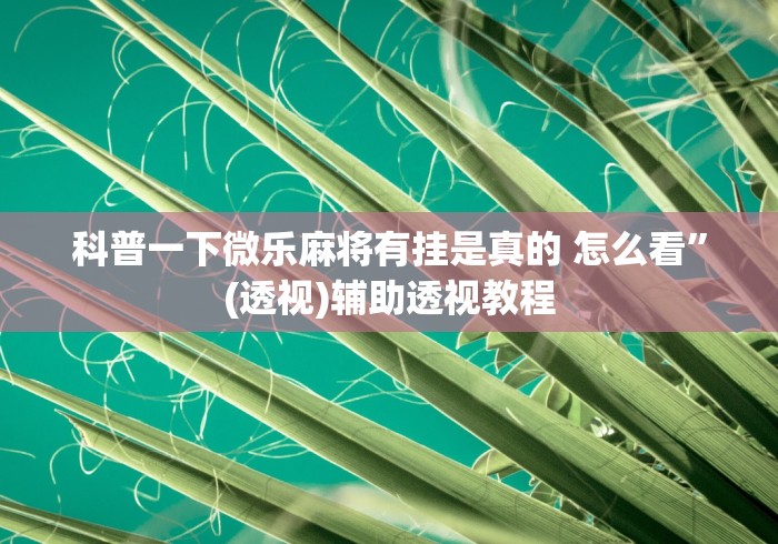 科普一下微乐麻将有挂是真的 怎么看”(透视)辅助透视教程