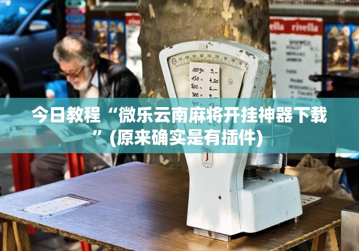 今日教程“微乐云南麻将开挂神器下载	”(原来确实是有插件) 