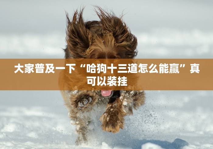 大家普及一下“哈狗十三道怎么能赢”真可以装挂