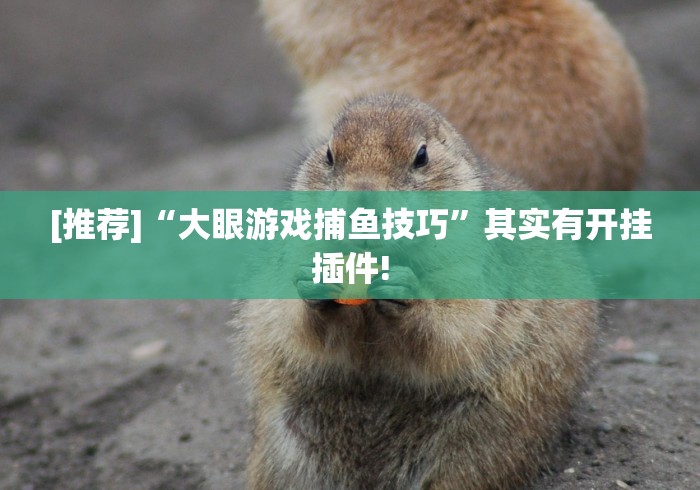 [推荐]“大眼游戏捕鱼技巧”其实有开挂插件!