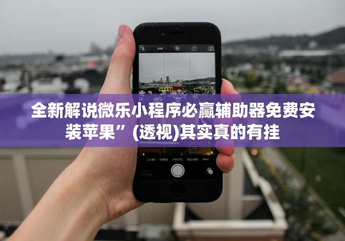 全新解说微乐小程序必赢辅助器免费安装苹果”(透视)其实真的有挂