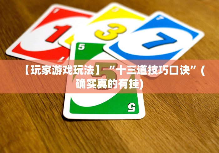 【玩家游戏玩法】“十三道技巧口诀”(确实真的有挂)