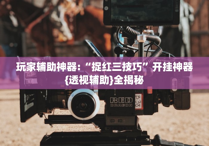 玩家辅助神器:“捉红三技巧”开挂神器{透视辅助}全揭秘