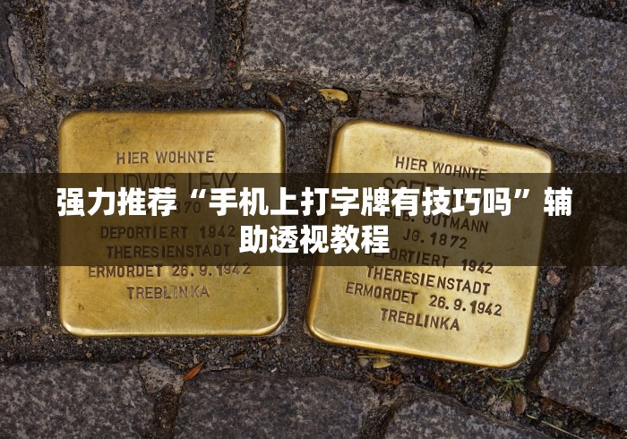 强力推荐“手机上打字牌有技巧吗”辅助透视教程
