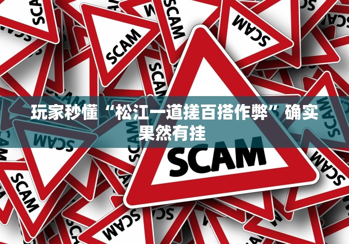 玩家秒懂“松江一道搓百搭作弊	”确实果然有挂 
