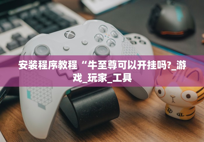 安装程序教程“牛至尊可以开挂吗?_游戏_玩家_工具
