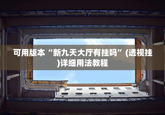 可用版本“新九天大厅有挂吗”(透视挂)详细用法教程