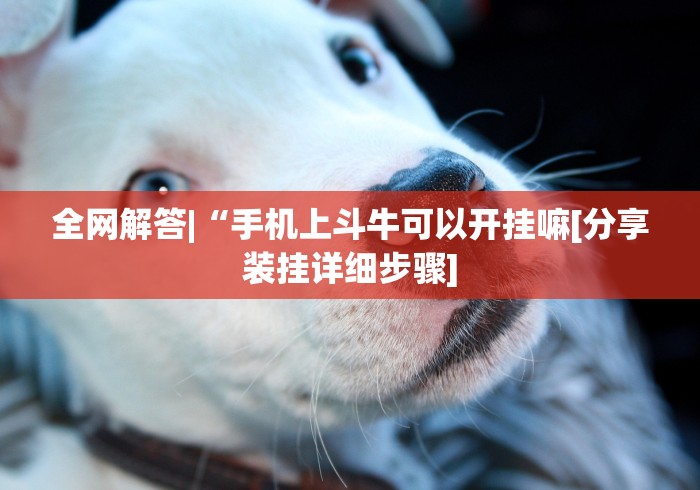 全网解答|“手机上斗牛可以开挂嘛[分享装挂详细步骤]