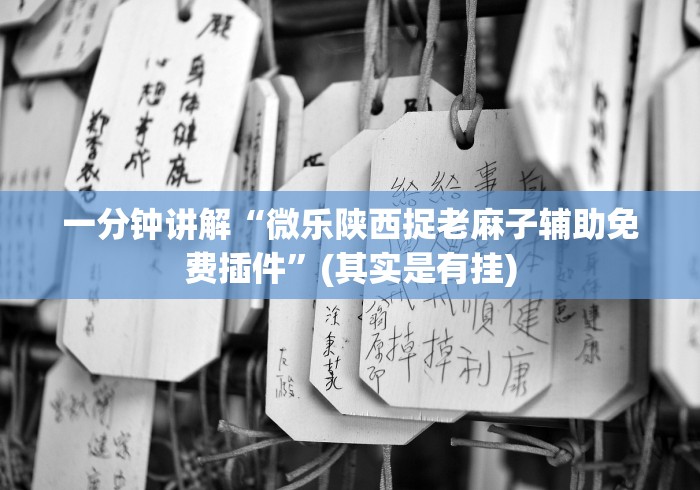 一分钟讲解“微乐陕西捉老麻子辅助免费插件”(其实是有挂)